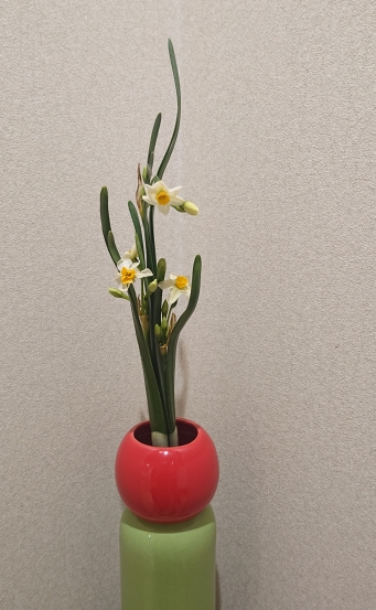 生け花1/25